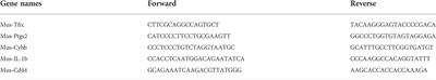 Expression profiles and functions of ferroptosis-related genes in intimal hyperplasia induced by carotid artery ligation in mice